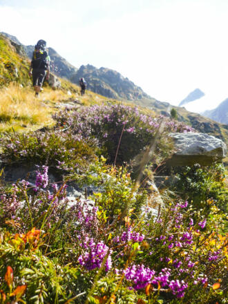 Bunte Landschaft am steilen Gaißkarweg
