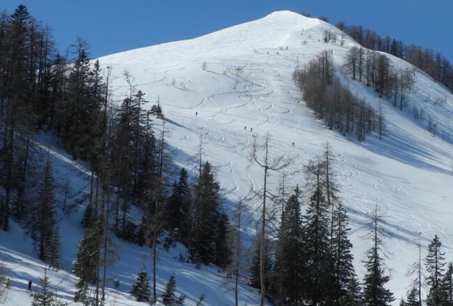 Gut zu sehen ist die Aufstiegsroute aufgrund der vielen Schitourengeher.