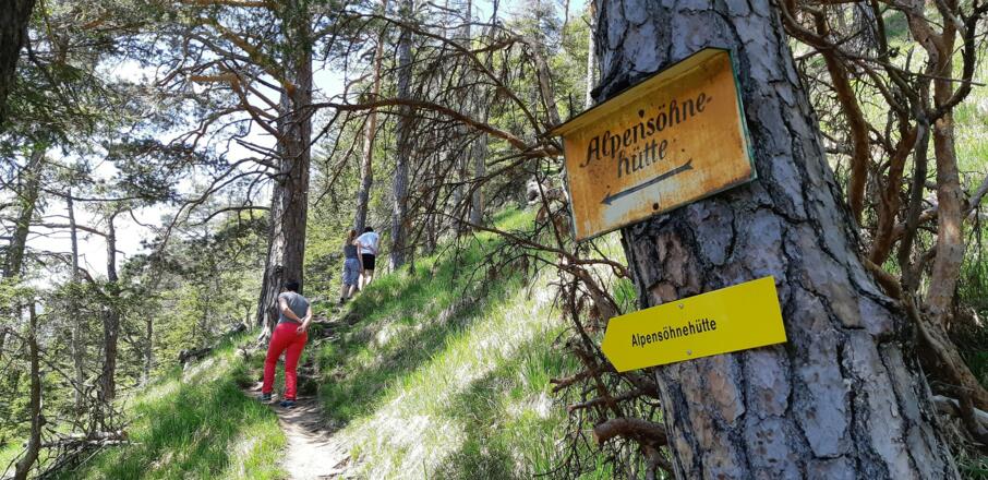 Kein Zweifel - wir sind auf dem Weg zur Alpensöhnehütte.