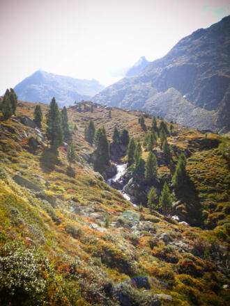 Beim Aufstieg im steilen Gaißkarweg