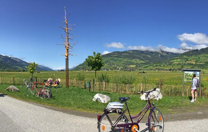 Rastplatz am Tauernrad mit Schlangenbaum und Tauernliegen