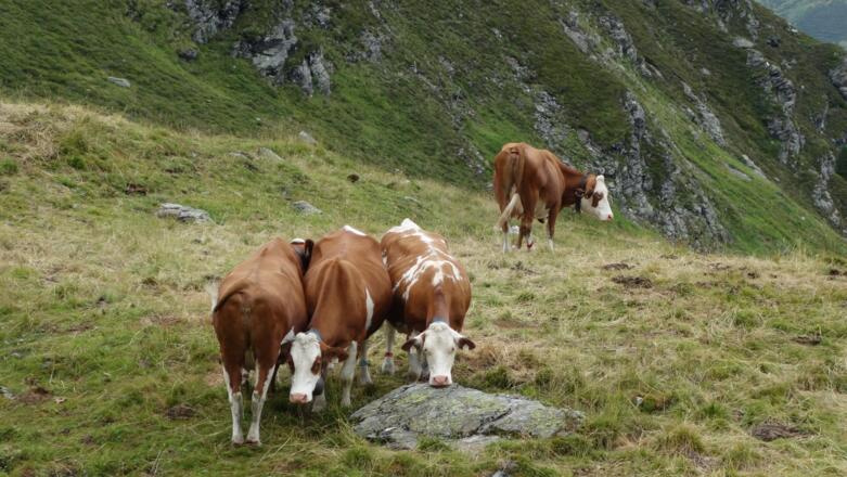 Abstieg nach Hochfügen