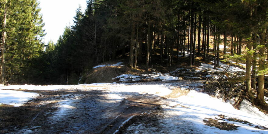 Der Hals im Frühjahr