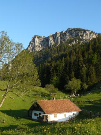 Die Maurer Alm vor der Gedererwand.