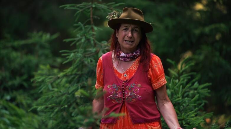 Hochdeutsch: Die Sage „Der Hirtenjunge und die Silberer“ erzählt von Hertha Glück auf Hochdeutsch ...