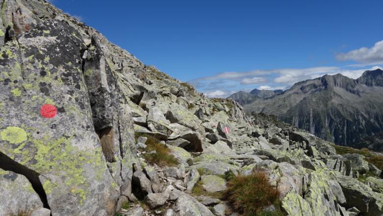 Auf dem Weg zum Pfitscher Joch