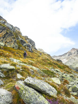 Steiler Gaißkarweg - gerade aus die Hütte im Blick