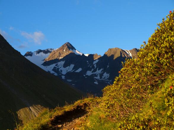 Bachfallenkopf vom Westfalenhaus gesehen