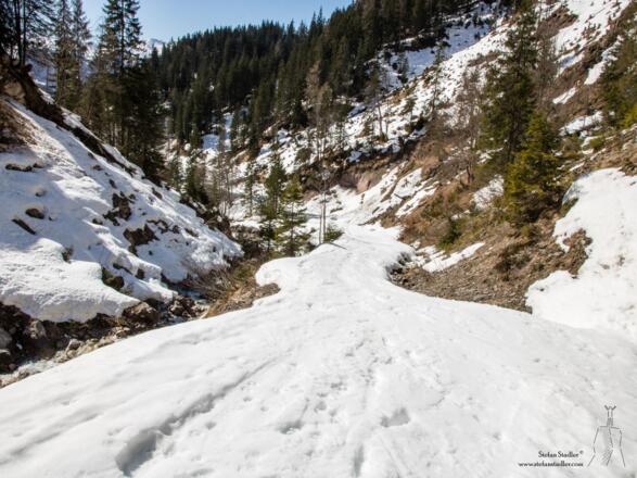 Oft gibt es ein Schneeband auf der Forststraße bis zurück zum Auto.