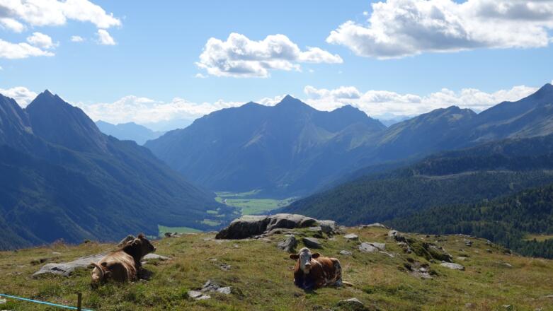 Blick ins Pfitscher Tal