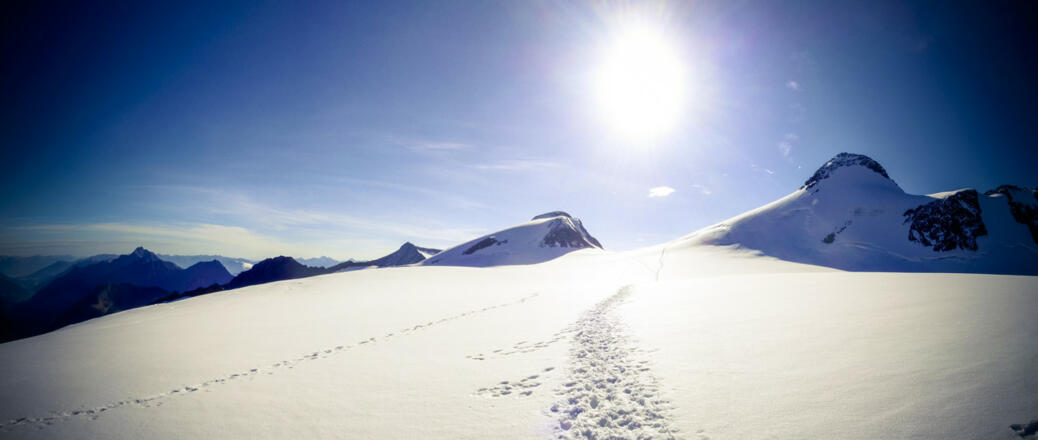 Wilder Freiger, Wilder Pfaff und Zuckerhütl