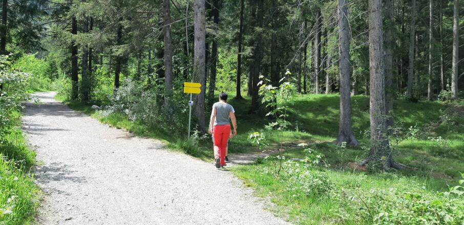 Abzweigung nach knapp 600 m. Hier schließt sich auch der Kreis dieser Rundwanderung.