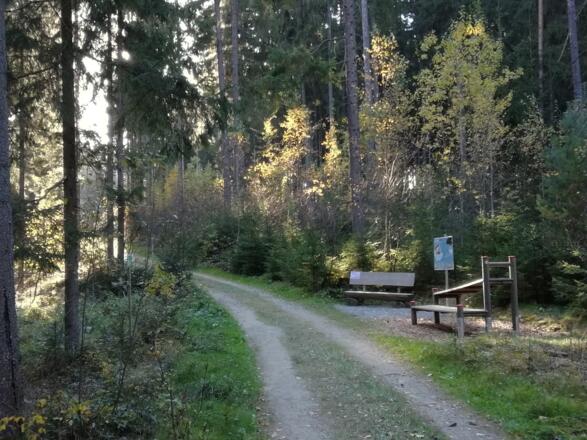 Station 7 des Flaps-Fitweges