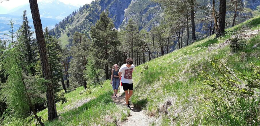 In idealer Neigung und ...