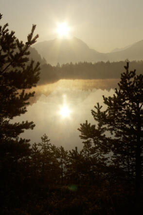 Baggersee in Weißenbach am Lech