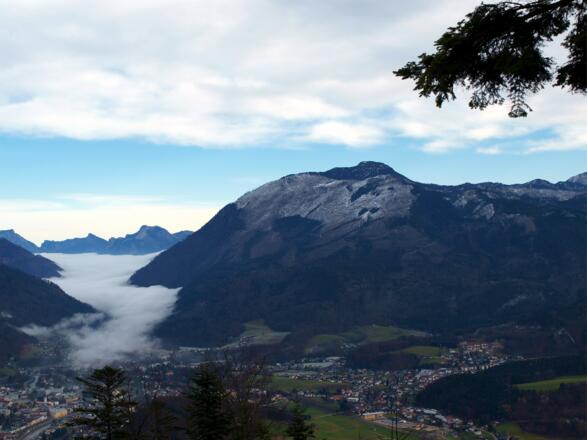 Blick zur Hohen Schrott bei 875 m