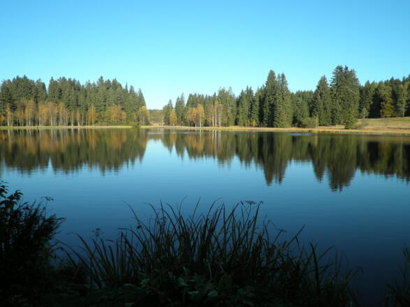 Moorsee Unterer Rosenhofer Teich