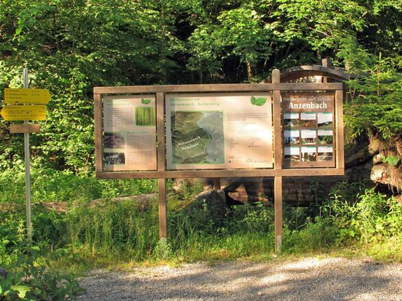 Anzenbach, Einstieg in Wildnistrail Buchensteig