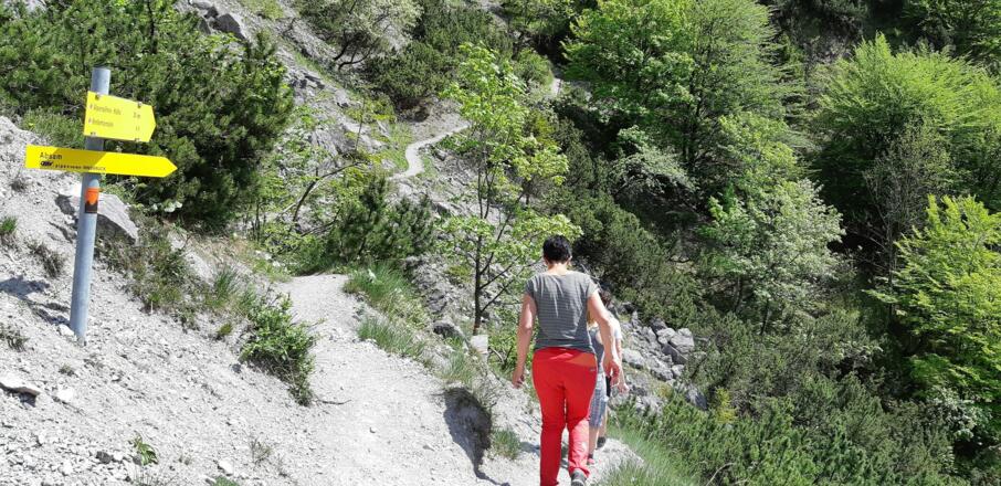 ... biegen wir links ab Richtung Absam.