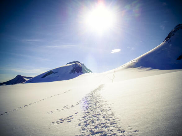 Zum Pfaffensattel. vlnr. Wilder Freiger, Wilder Pfaff, Zuckerhütl
