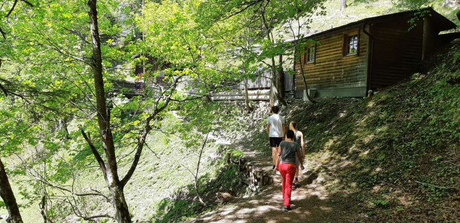 ... zur Alpensöhnehütte (Winklerhütte) auf 1367 m.