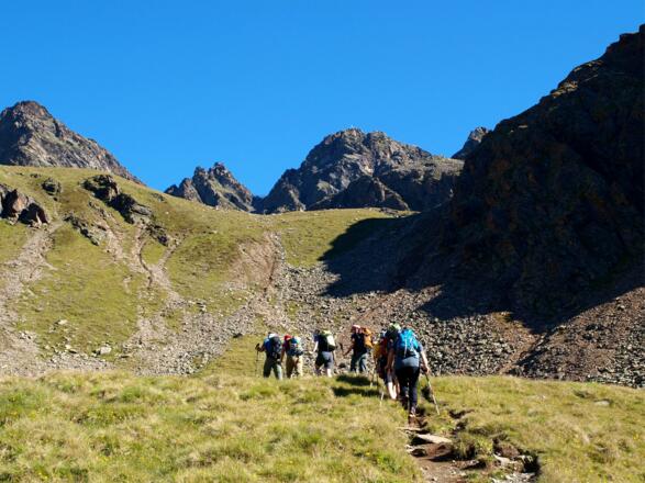 Wiesenbereich um 2400m mit Blick zum Schöntalspitz