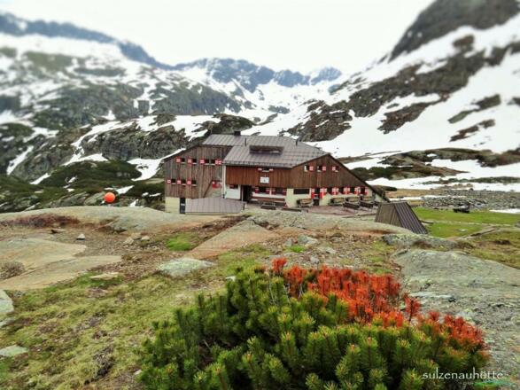 Sulzenauhütte 2.196m