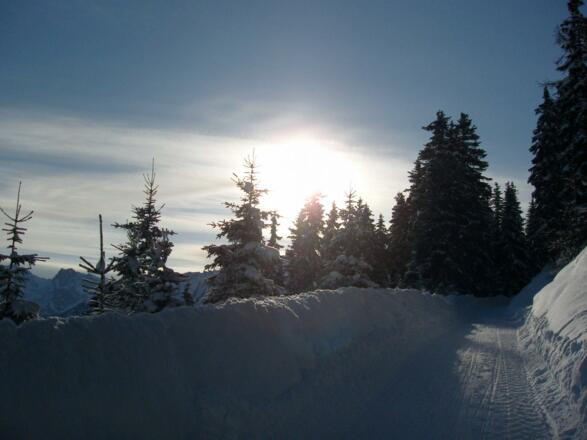 Rodelbahn Auffangalm