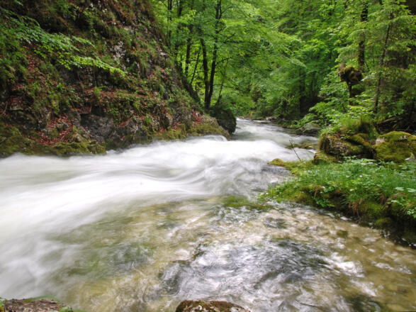Hinterer Rettenbach © Nationalpark Kalkalpen