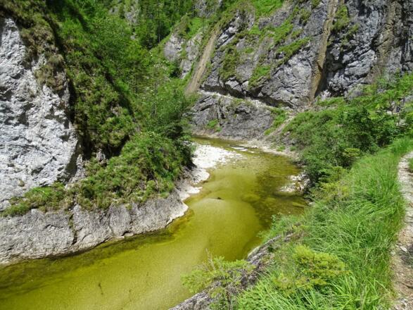 Große Schlucht © Buchner