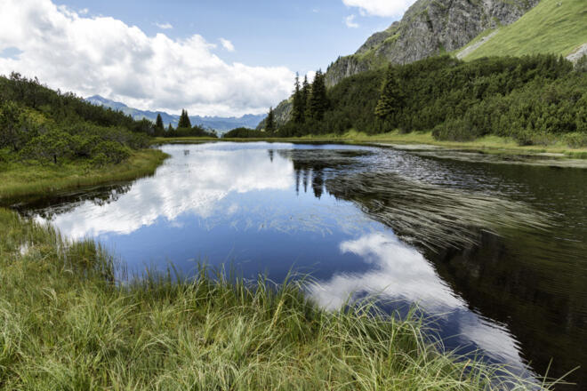 Wiegensee
