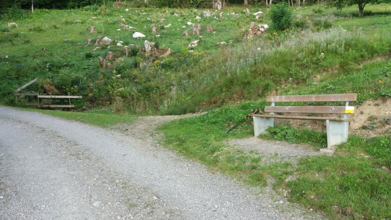 Die &quot;Nenzinger Sitzbank&quot; auf ca. 1145 m bietet einen schönen Rastplatz.