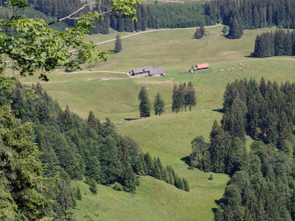 Blick zur Ebenfostalm
