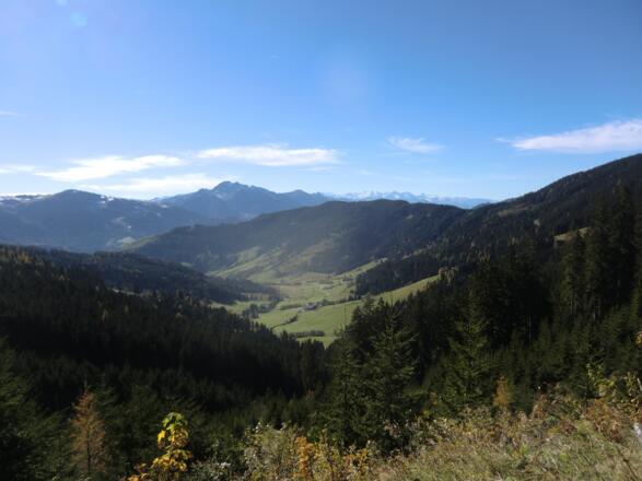 Blick hinunter ins Tal