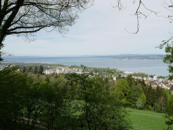 Blick auf den Bodensee vom Aussichtspunkt Gebhardsberg