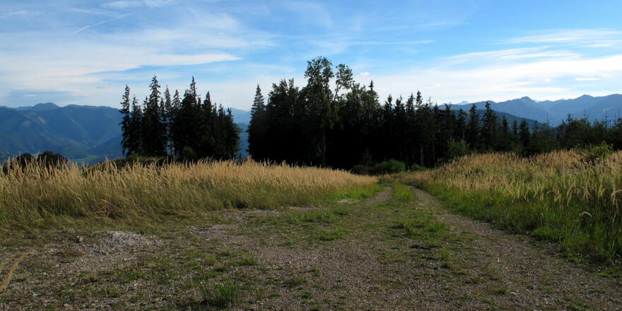 Beginn Abstieg über Forststraße 