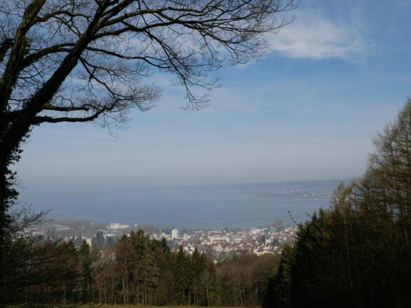 Aussicht vom Gebhardsberg auf den Bodensee