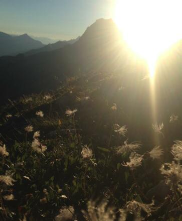 Obere Gemstelhütte Sommer III