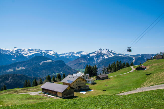 Sonderdach im Frühling
