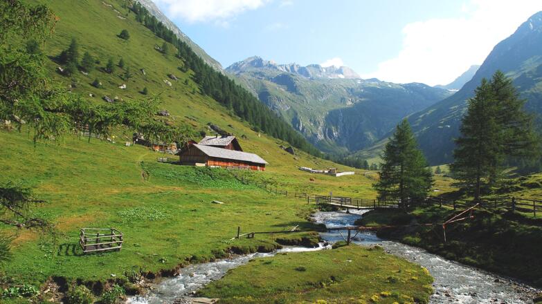 Steineralm, Blick auf die Obere Steineralm, dahinter die Wellachköpf
