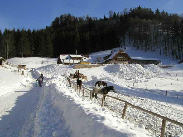 Almgasthof Hochsteinalm Winter