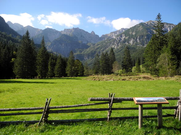 Auf der Laussabaueralm © Nationalpark Kalkalpen_Stückler