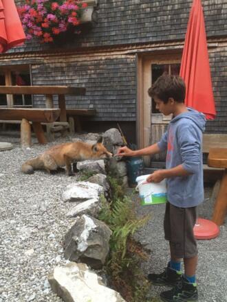 Hintere Gemstelhütte Sommer II