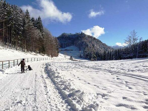 Almgasthof Hochsteinalm Rodelbahn (c) Sopper