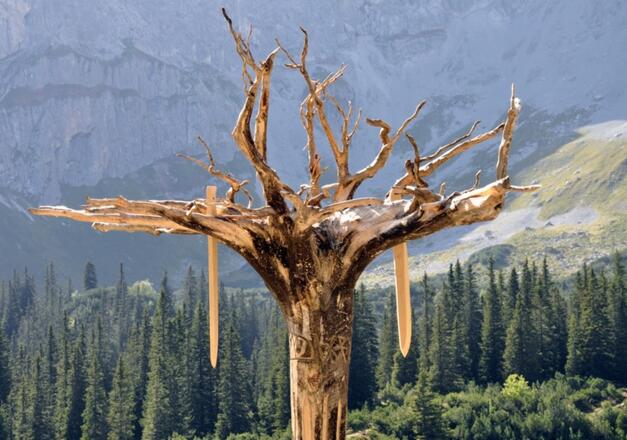 Die Schlacht auf Spora