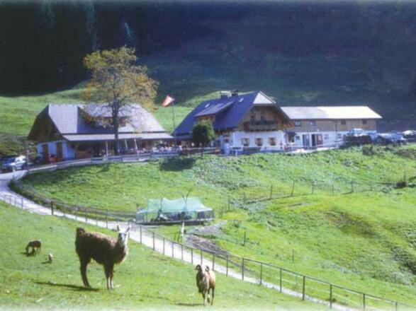 almgasthof Hochsteinalm