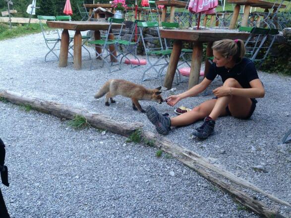 Hintere Gemstelhütte Sommer Terrasse