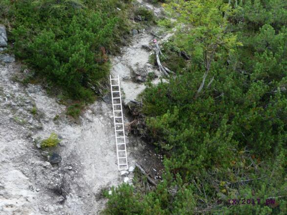 mit Leiter versicherte Stelle