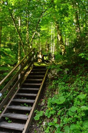 Station 5: Steinreiche Kalkalpen