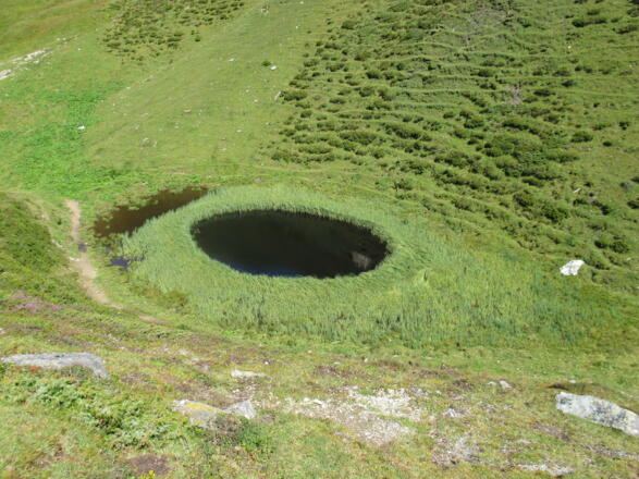 Das Pfauenauge oberhalb der Jagdhausalm
